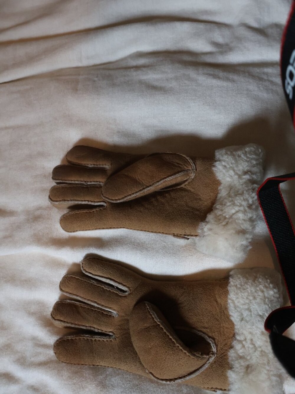 Ugg Gloves